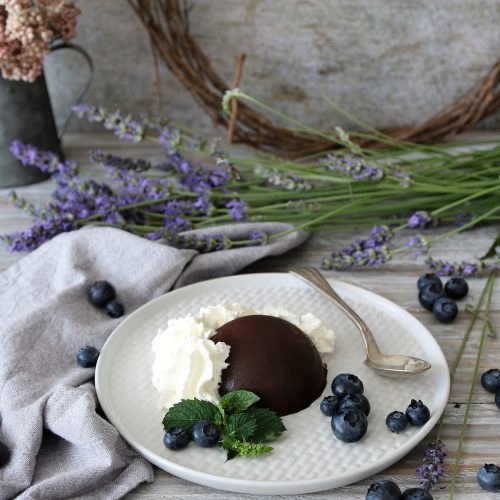 mezze sfere di cioccolato ripiene di yogurt e mirtilli