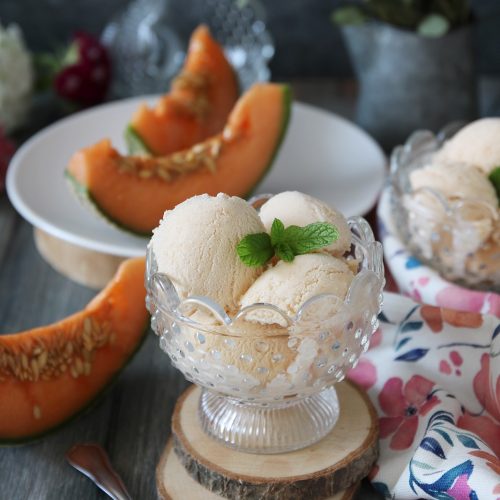 gelato al melone con gelatiera