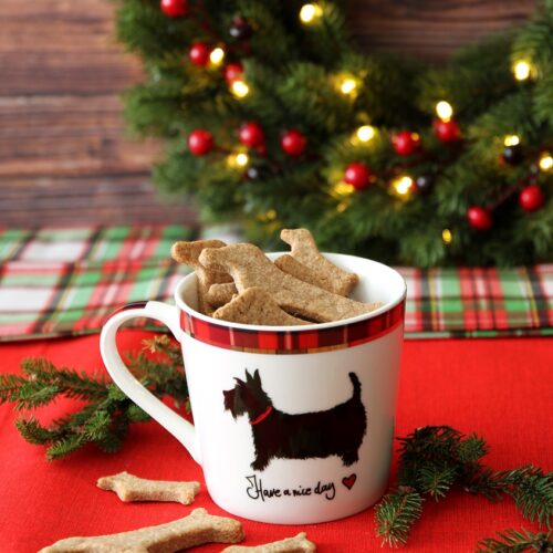 Biscotti per cani al Parmigiano fatti in casa